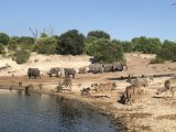 Chobe Game Lodge