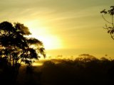 Sunset in the rainforest