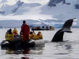 Quark Expeditions - Zodiac Excursion