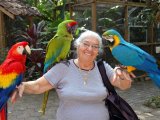 Copan Bird Park