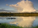 Ecuadorian Amazonia Luxury Expedition