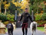 The Irish Wolf Hounds at Ashford Castle