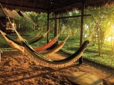 Relax on a Hammock near the river edge