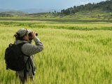 Birdwatching in Lake Titicaca, Titilaka Lodge