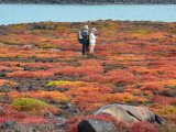 Island Excursion - Galapagos Expedition Cruise with the M/V Galapagos Legend