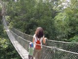 Canopy Walk in Tambopata, Peru