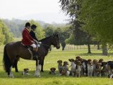 Horses & Hounds