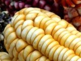 Andean Corn at the market