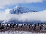 Antarctic Explorer: Discovering the 7th Continent