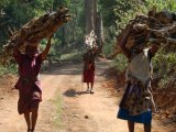 Tribal women in Periyar Tiger Reserve