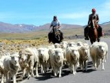 Patagonian scene 