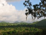 Stunning Views at the Galapagos Safari Camp