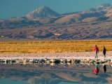 Excursion to the Salar de Atacama, Tierra Atacama