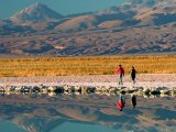 Lagoon in Atacama Desert