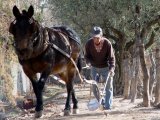 Finca Adalgisa