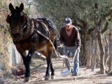 Finca Adalgisa