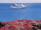 Galapagos Explorer II