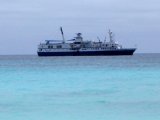 Sea Lions & the M/V Santa Cruz (Francisco Dousdebe)