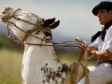 Gaucho at work, Estancia El Colibri, Cordoba