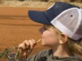 Kids Friendly Safari Stay at Jaci's Lodges