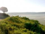 Panoramic View of Ngorongoro Crater