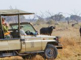 Savute Safari - Game Drive