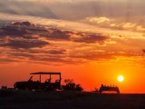 Savute Safari Lodge - Sun-downer