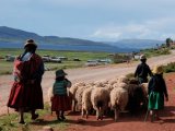 Shepherds in Lake Titicaca, Titilaka Lodge