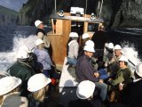 Vestmanna Sea Cliffs Cruise - Faroe Islands