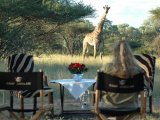 Game Viewing in Camp Jabulani 