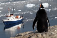 Classic Antarctica Cruise aboard the Ushuaia