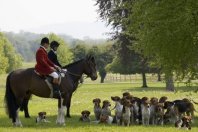 VIP Ireland Experience