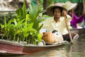 Thailand Family Experience 