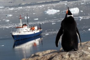 Classic Antarctica Cruise aboard the Ushuaia