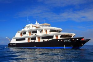 Petrel Luxury Galapagos Catamaran