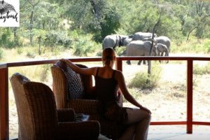 Shumbalala Game Lodge - Thornybush Nature Reserve