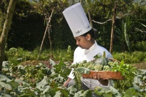 Spice Village, Thekkady, Kerala